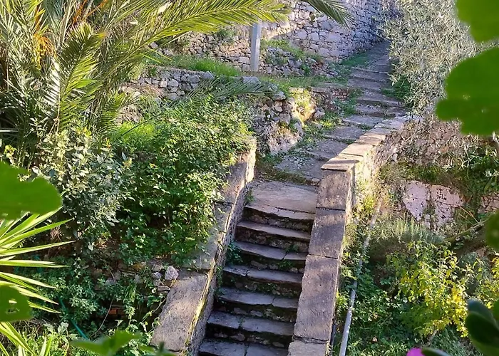Conchiglia Magica Cinque Terre *