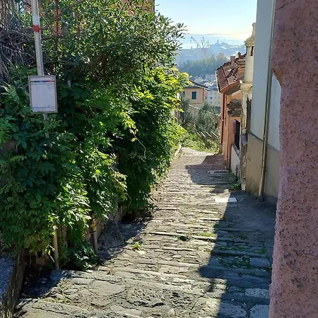 Conchiglia Magica Cinque Terre *