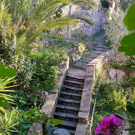 Conchiglia Magica Cinque Terre *