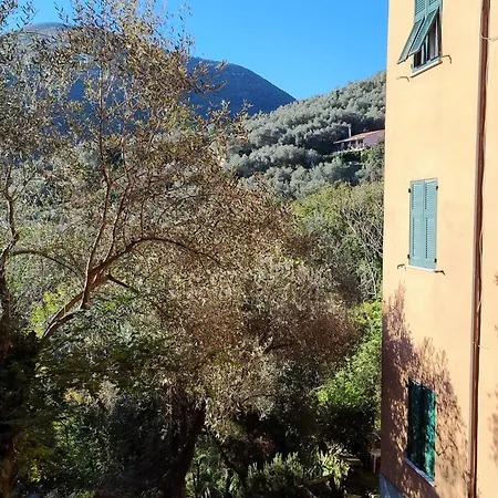 Conchiglia Magica Cinque Terre * La Spezia
