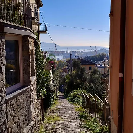 Conchiglia Magica Cinque Terre Apartment